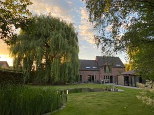ein Haus mit einem Teich im Garten mit einem Baum in der Unterkunft Bulsomhuys in Kampenhout