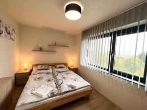 a bedroom with a bed and a large window at Luxury Villa Rosemary with free garage in Szentendre in Szentendre
