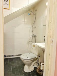 La salle de bains est pourvue de toilettes et d'un lavabo. dans l'établissement Finnish house near the forest, à Lappeenranta
