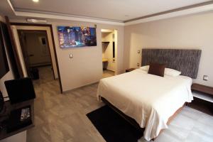 een hotelkamer met een bed en een tv aan de muur bij OSLO 5 in Mexico-Stad