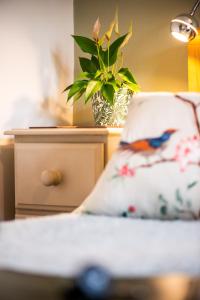 a bed with a pillow and a plant on a night stand at The Cedars in Builth Wells