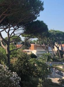 Gallery image of Appartamento signorile, luminosissima vista mare in Fregene +6 photos
