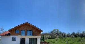 a house with a wooden roof on a hill at Pensiunea Lili’s House in Buchin +27 photos
