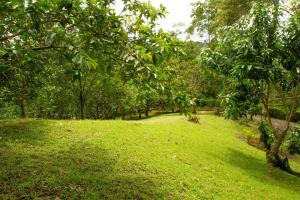 Zahrada ubytování Eco Cabañas San Lorenzo