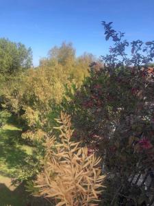 Сад в Casa incantevole con vista parco Appia Antica