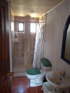 ein Bad mit einem WC und einem Waschbecken in der Unterkunft Tuminica Lodge - Chalet de montaña en Suesca in Suesca