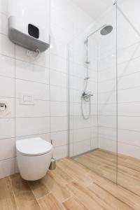 ein Bad mit einem WC und einer Glasdusche in der Unterkunft Chill Inn Studio in Zagreb