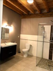 La salle de bains est pourvue de toilettes, d'un lavabo et d'une douche. dans l'établissement Gîte la bergerie, piscine chauffée,, à Couzon