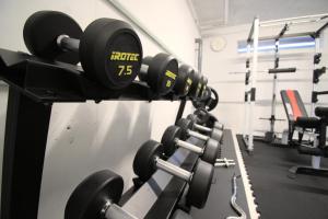 Fitness centrum a/nebo fitness zařízení v ubytování Myoko Apartments