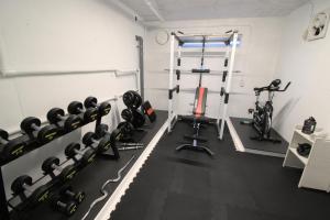 Fitness centrum a/nebo fitness zařízení v ubytování Myoko Apartments