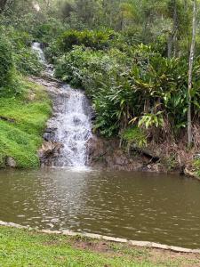 uma cascata no meio de um lago numa floresta em Sitio Anju em Atibaia