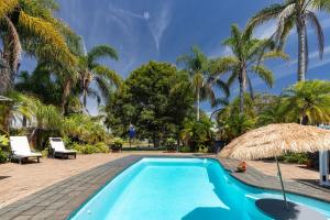 a swimming pool with a straw umbrella and palm trees at Tulloch Estate in Tuncurry