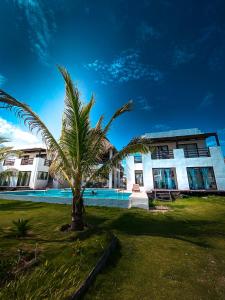 蒙特里科Hotel Maya Jade的建筑物前的棕榈树