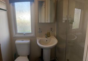 a bathroom with a toilet and a sink and a shower at Freedom Lodge - Aviemore with FREE Starlink Superfast broadband 150mbps - Pet Free in Aviemore