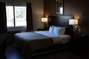 ウィチタフォールズにあるQuality Inn & Suites Wichita Falls I-44の大きなベッドと窓が備わるホテルルームです。