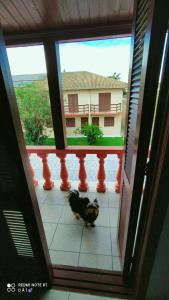 a dog standing in a room with a view of a house at Residencial família Milani 100 metros do mar Torres in Torres