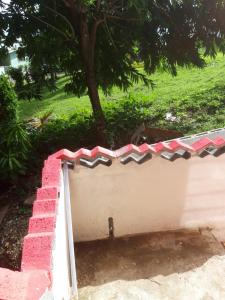 A garden outside Cocoa Cabana