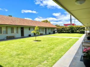 a small tree in the yard of a house at Bathurst Motor Inn in Bathurst