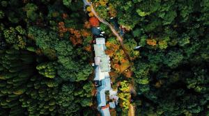 an aerial view of a road in the middle of a forest at Kirishima Momijidani Seiryuso in Kirishima