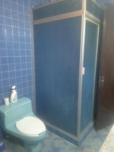 y baño de azulejos azules con aseo y ducha. en Recamara en Polanco (solo hombres), en Ciudad de México
