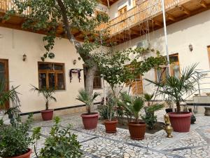 un grupo de plantas en macetas frente a un edificio en Old Bukhara Boutique en Bukhara