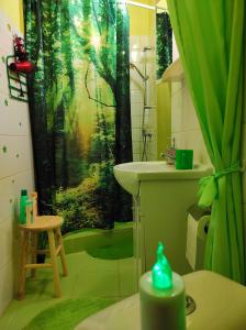 łazienka z zasłoną prysznicową i umywalką w obiekcie Pension Relax-Hvězdička w Litomierzycych