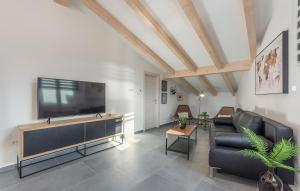 Televízia a/alebo spoločenská miestnosť v ubytovaní Apart Residence-Galant