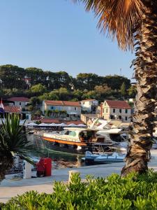 a group of boats docked in a marina with a palm tree at Holiday House Markoč in Grohote