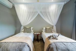 una habitación con 2 camas con un gato sobre ellas en Chobe Safari Lodges en Kasane