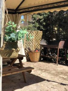 Hormilla的住宿－Casa rural hormilla，帐篷下带盆栽的野餐桌