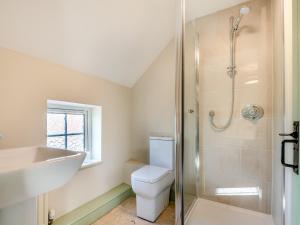 a bathroom with a toilet and a sink and a shower at Owl Barn in Benington