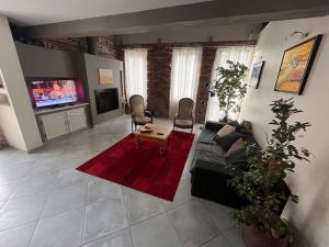 Televízia a/alebo spoločenská miestnosť v ubytovaní Magnifique maison toulousaine