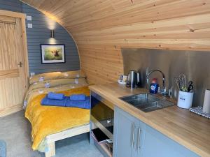 a kitchen with a sink and a bed in a room at The Boathouse pod in Onich