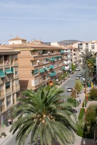 a city street with a palm tree in front of a building at Deluxe Apartament Alcalá la Real in Alcalá la Real