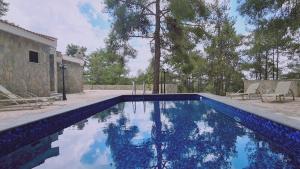 einen Pool im Garten mit Stühlen und Bäumen in der Unterkunft STAY Forest View Villa in Platres