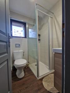 a bathroom with a toilet and a glass shower at Boost Your Immo Vars Ô Chalet Dana 801 in Vars