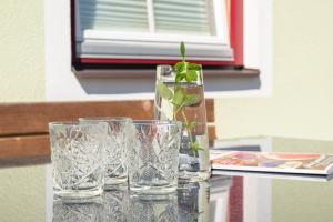 grupa okularów siedzących na stole z rośliną w nich w obiekcie Appartement Greti w Schladming