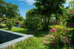 Κήπος έξω από το Tra Que Flower Homestay