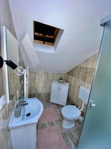 a bathroom with a sink and a toilet at Casa Mis in Baia de Fier +16 photos