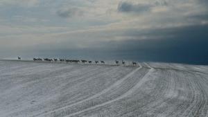 un grupo de personas montando caballos en la nieve en Piotrowice Nyskie Palace, en Otmuchów