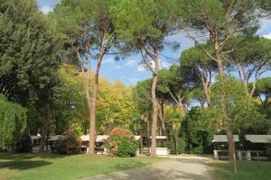 a park with trees and picnic tables in the grass at Residenza D'epoca Lina in Brisighella