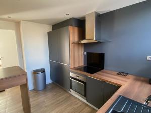 La cuisine est équipée de placards noirs et d'un réfrigérateur en acier inoxydable. dans l'établissement Appartement situé en centre ville super lumineux, à Dunkerque