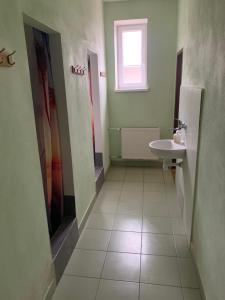 uma casa de banho com um lavatório e um WC em Hostel SOS Moldava em Moldava nad Bodvou