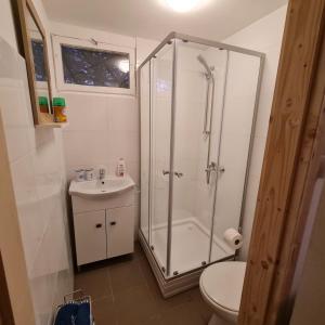 a bathroom with a shower and a toilet and a sink at Het Hongaarse Vissershuisje in Dunaszekcső
