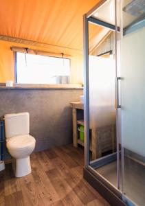 a small bathroom with a toilet and a shower at Camping le Lac de Thoux in Saint-Cricq