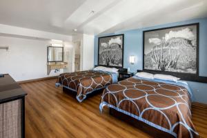 Habitación de hotel con 2 camas y paredes azules en Super 8 by Wyndham Phoenix West en Phoenix