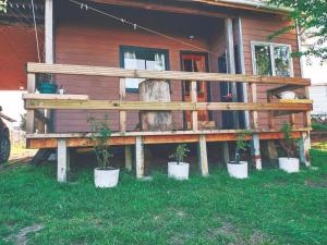 a house with potted plants in front of it at Habitación Chilota in Castro