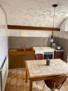 a kitchen with a table and a sink and a stove at Sous l'Alpette en Chartreuse in Saint-Pierre-dʼEntremont