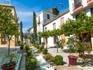Ogród w obiekcie Duplex Penthouse in Estepona- Mountain and Sea views