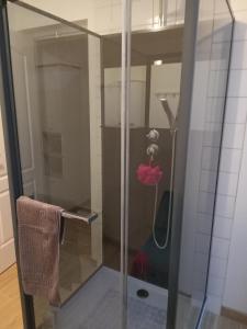 a shower with a glass door in a bathroom at Le Blason du Poête in Mayet